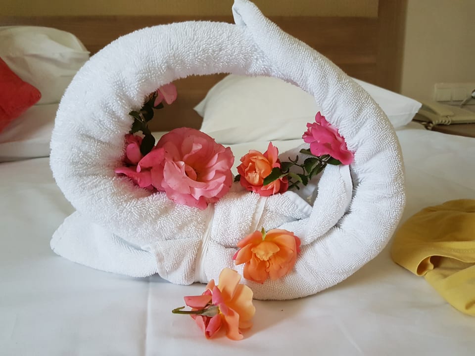 Zimmer Marvida Family Eco