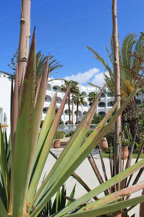 Blue Sea  Hotel Le Tivoli