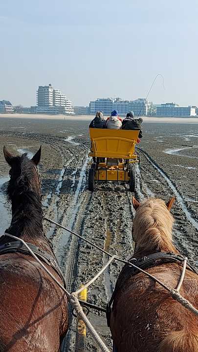 Strand Strandhotel Duhnen / Aparthotel Kamp