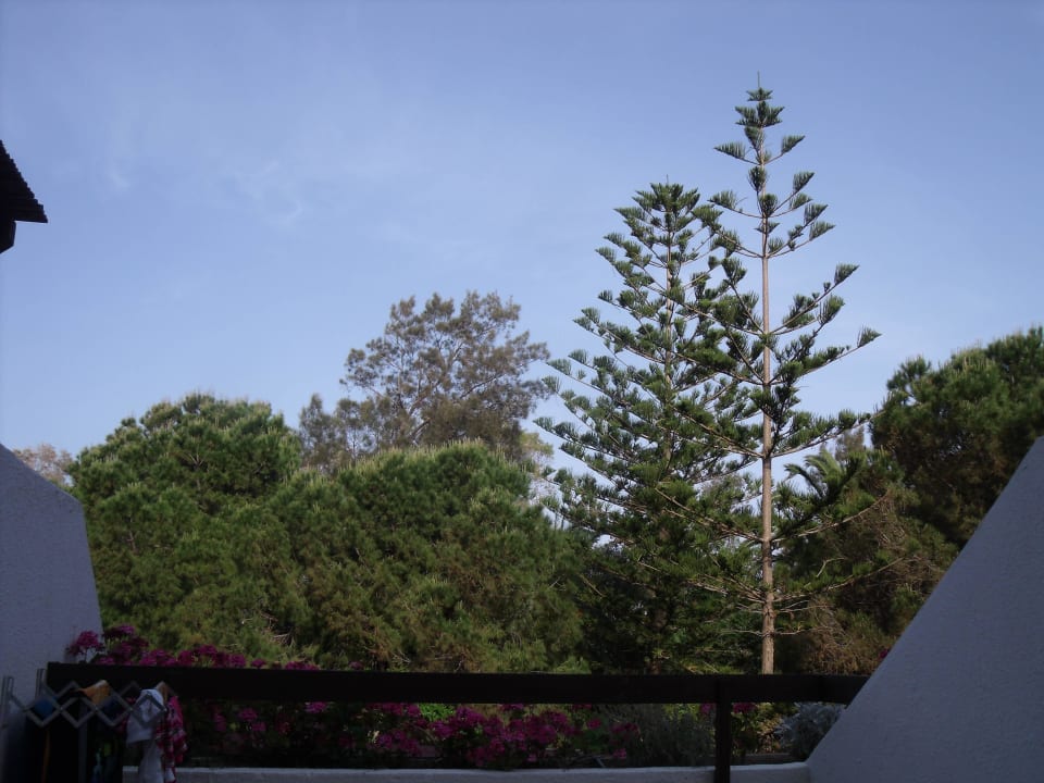 Blick vom Balkom Apollonia Beach Resort & Spa