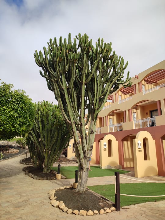 Außenansicht H10 Playa Esmeralda - Adults only