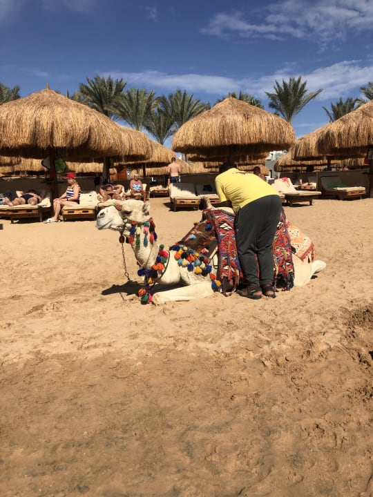 Strand SUNRISE Royal Makadi Resort