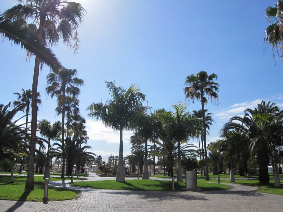 Sehr schöne Gartenanlage Hotel Riu Gran Canaria