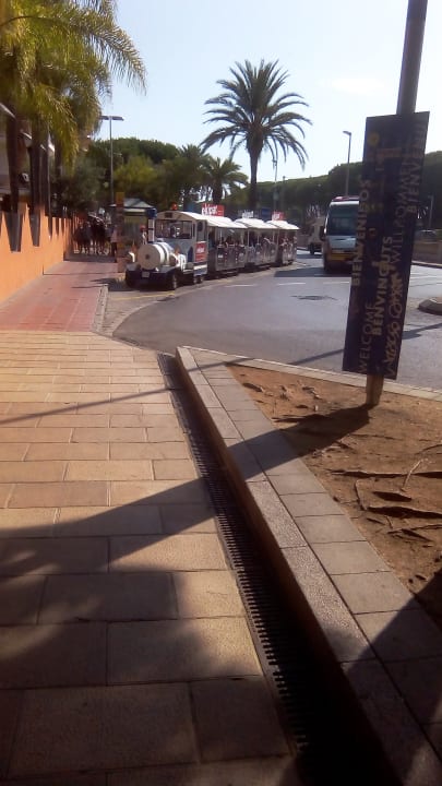 Sonstiges ALEGRIA Maripins