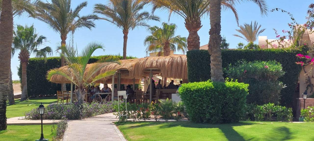 Gartenanlage Steigenberger Coraya Beach - Adults only