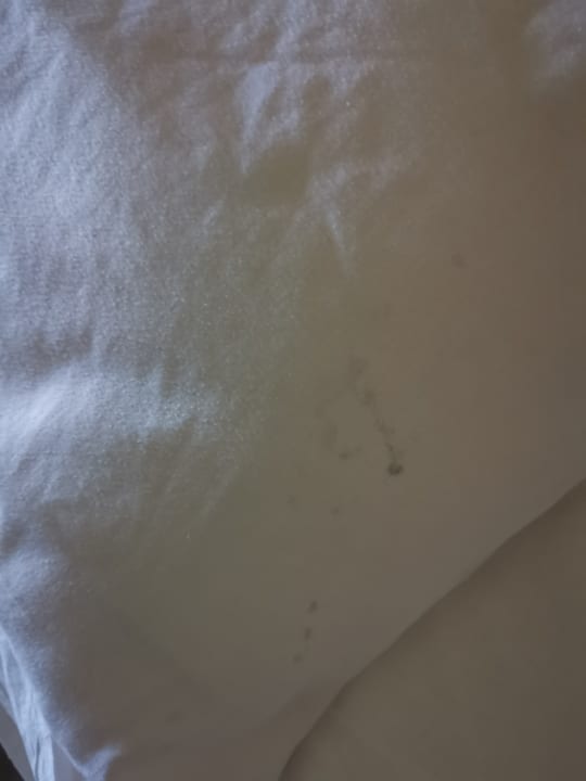 Zimmer Hotel Caves Beach Resort (Adults Only)