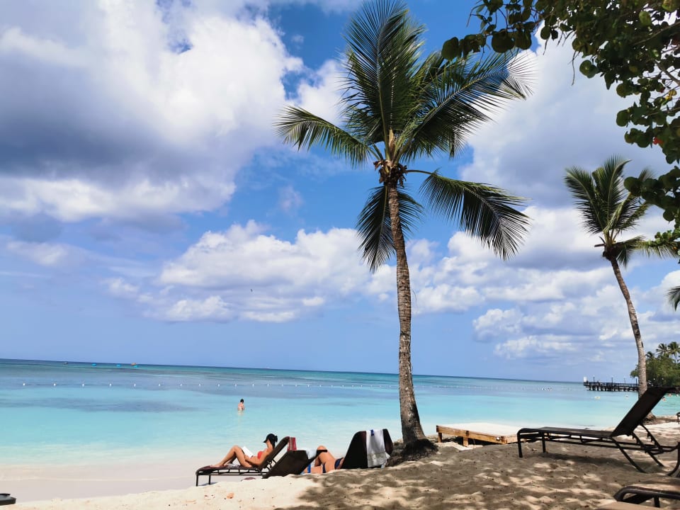 Strand Dreams La Romana Resort & Spa