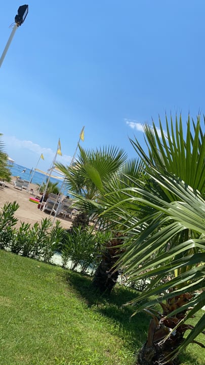 Gartenanlage Hotel Delphin Imperial