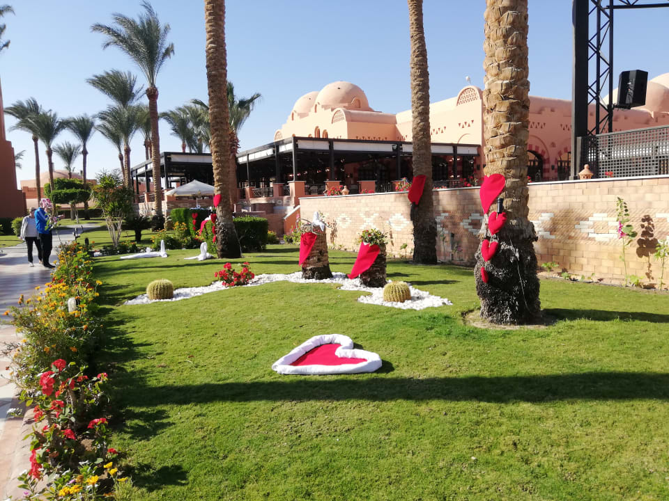 Gartenanlage Jaz Makadi Oasis Resort