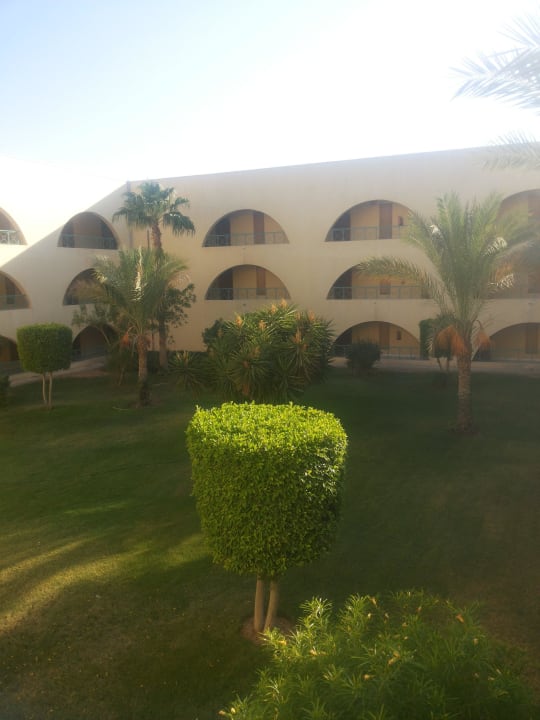 Вид на сад Desert Rose