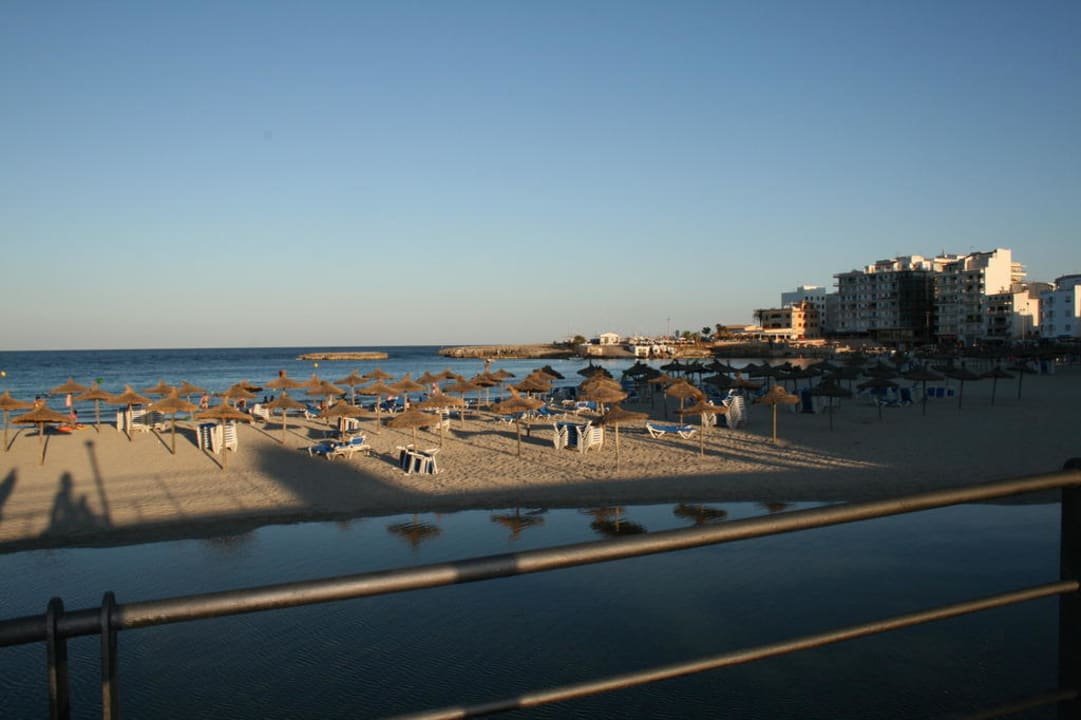 Der Strand von S'Illot Aparthotel Playa Dorada