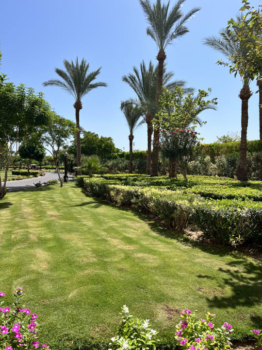 Garteanlage Steigenberger Aqua Magic