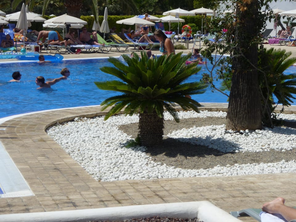 Pool am Tag Hipotels Cala Millor Park
