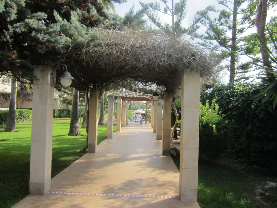Weg zum Pool Playa Garden Selection Hotel & Spa