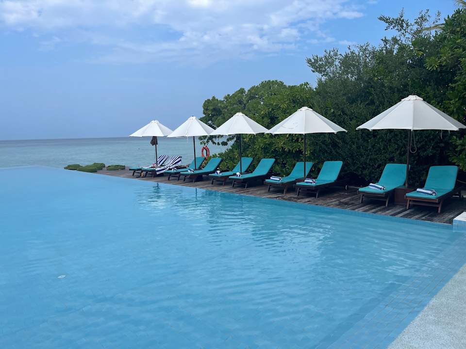 Pool Summer Island Maldives