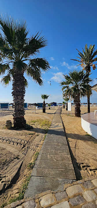 Strand Sentido Phenicia