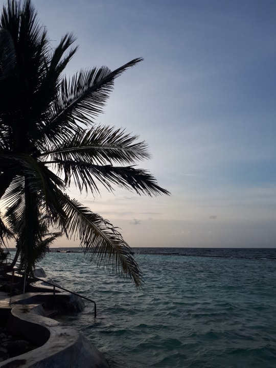 Ausblick Ellaidhoo Maldives by Cinnamon