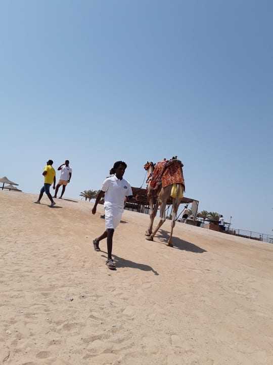 Strand Bliss Nada Beach Resort