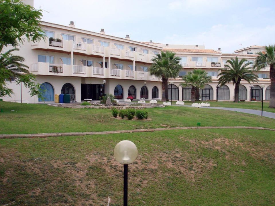 Garten blau punta reina