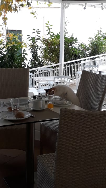 Gastro Olympian Bay Grand Resort