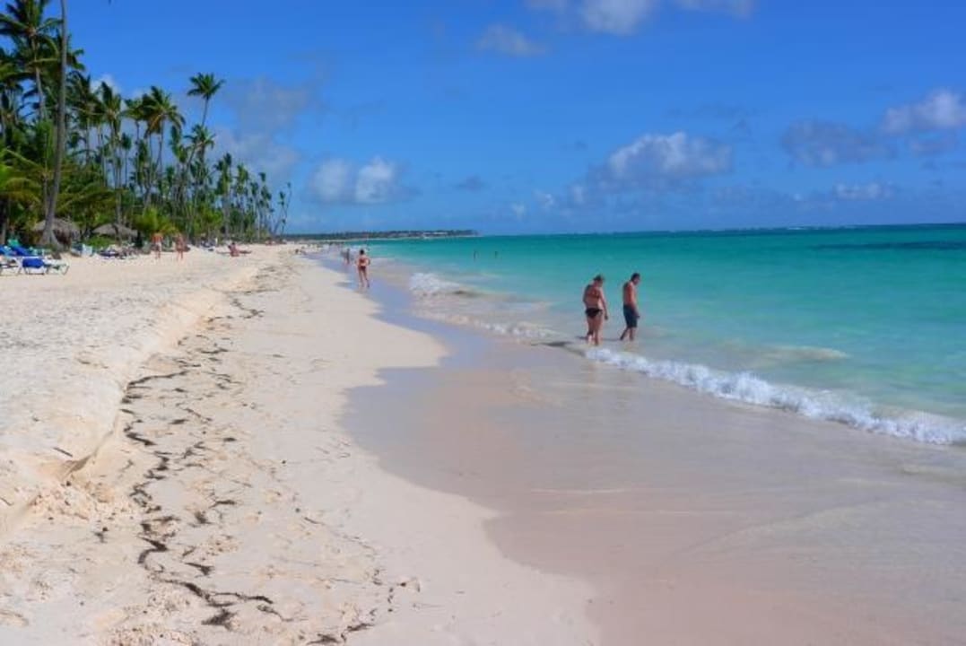 Blick in Richtung Hotel-Komplex TRS Turquesa Hotel - Adults only