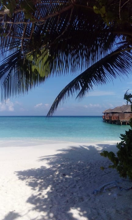 Ein Traum ;o) Fihalhohi Maldives