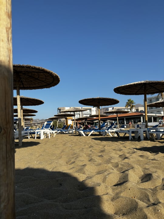 Außenansicht allsun Hotel Carolina Mare