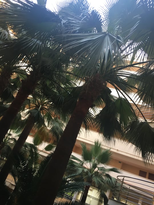 Lobby allsun App.-Hotel Orient Beach