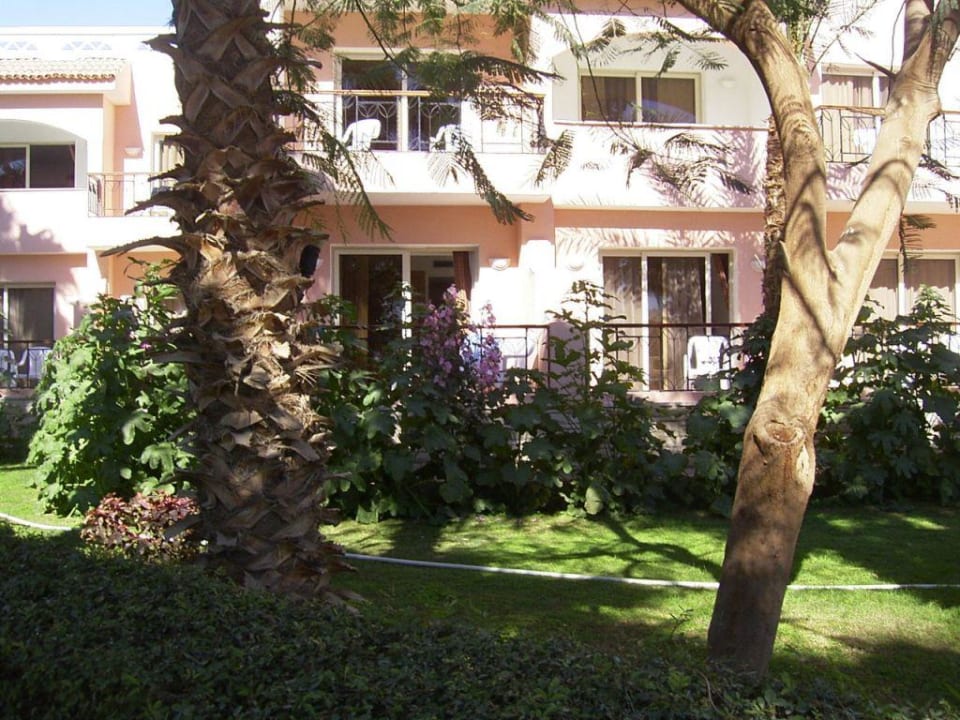 Blick au die Bungalows Beach Albatros Resort