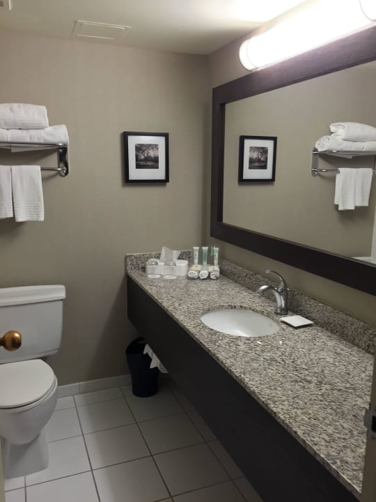 Badezimmer Delta Hotels by Marriott Calgary Downtown