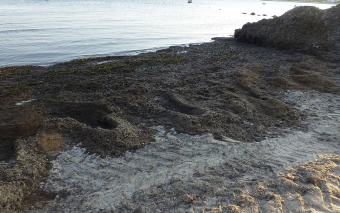 Außenansicht Hotel El Mouradi Djerba Menzel