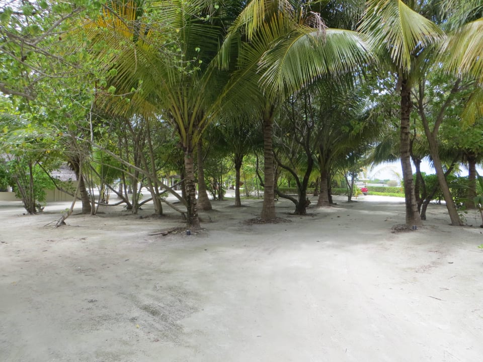 Die Wege wischen Rezeption und Boots-Anlegesteg Adaaran Select Hudhuran Fushi - Premium All Inclusive