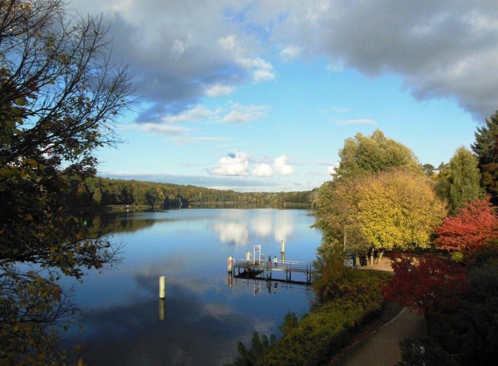 Herbst am Griebnitzsee Seminaris Avendi Hotel Potsdam