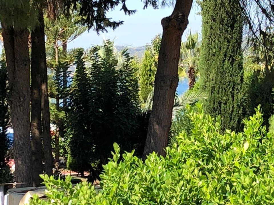 Gartenanlage Lonicera Resort & Spa Hotel