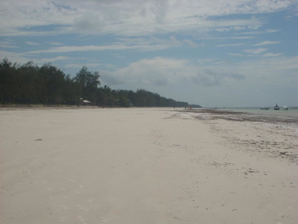 Direkt neben dem Hotel Kaskazi Beach Resort