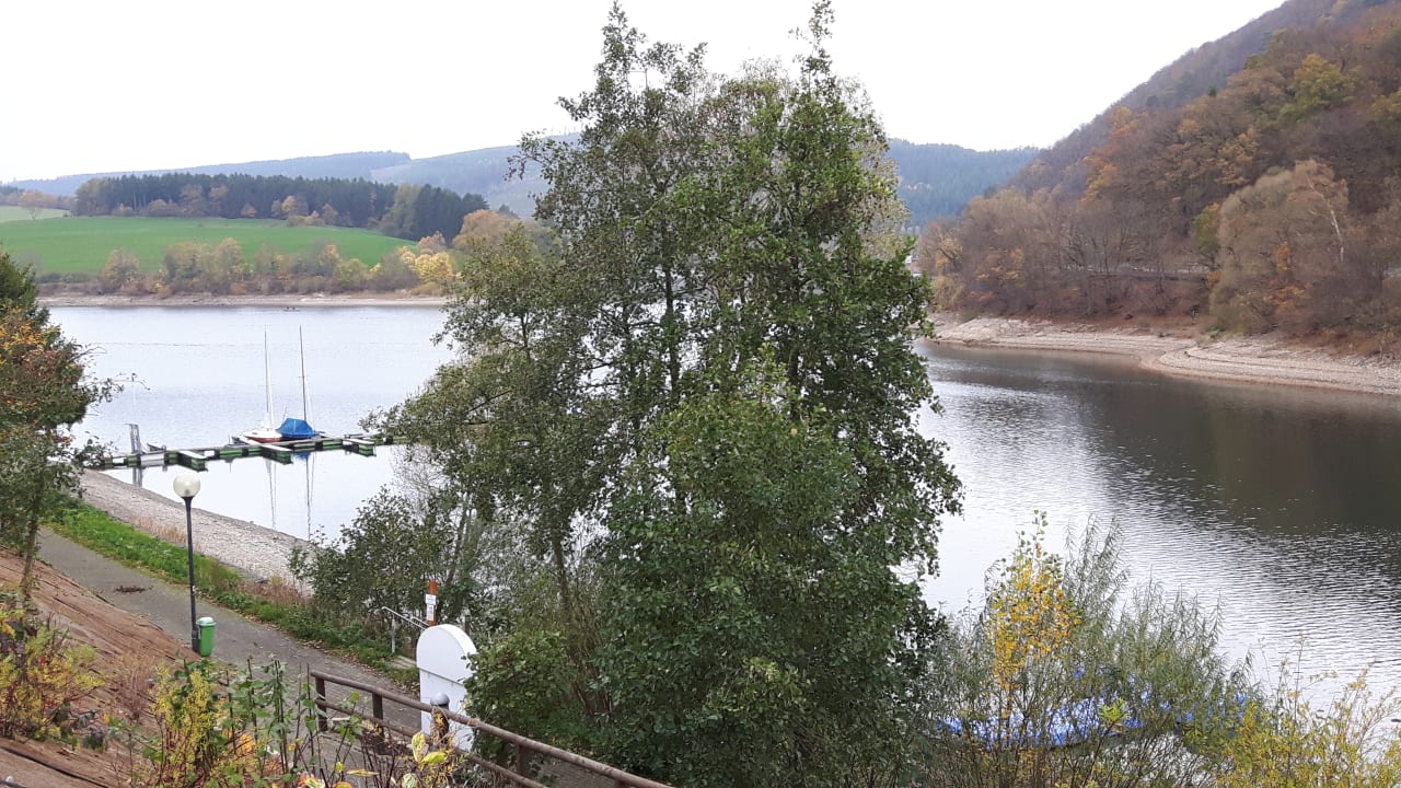 Ausblick Göbel's Seehotel Diemelsee