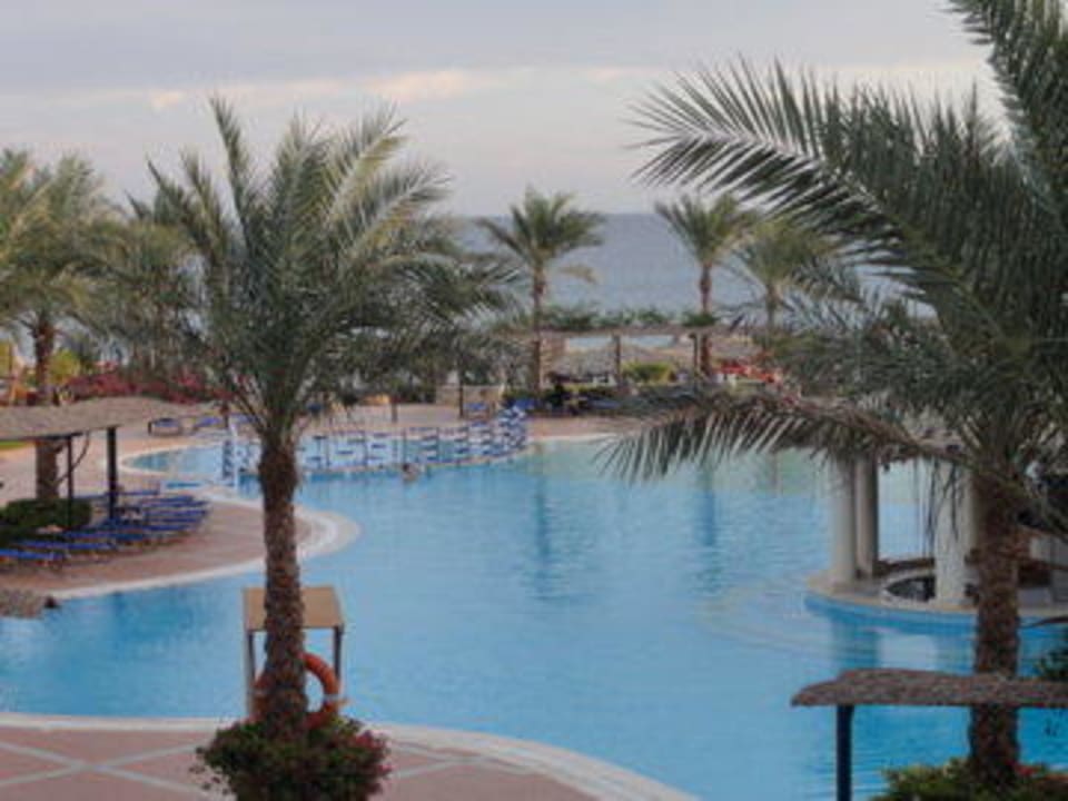 Blick auf den Pool JAZ Dahabeya