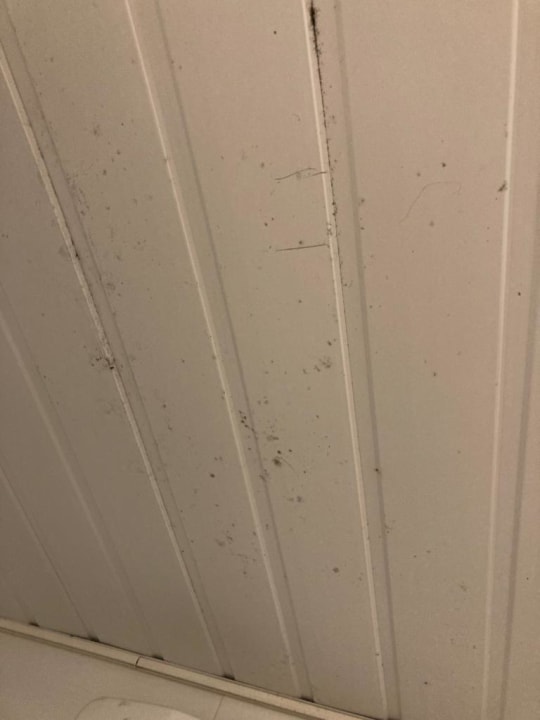 Zimmer Club Hotel Anjeliq