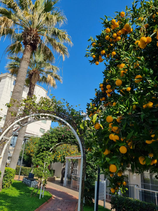 Gartenanlage Seher Kumköy Star Resort & Spa
