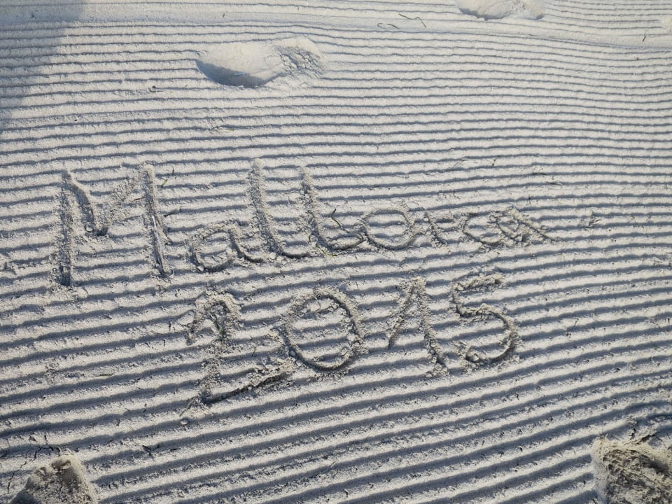 Strand Iberostar Selection Albufera Park