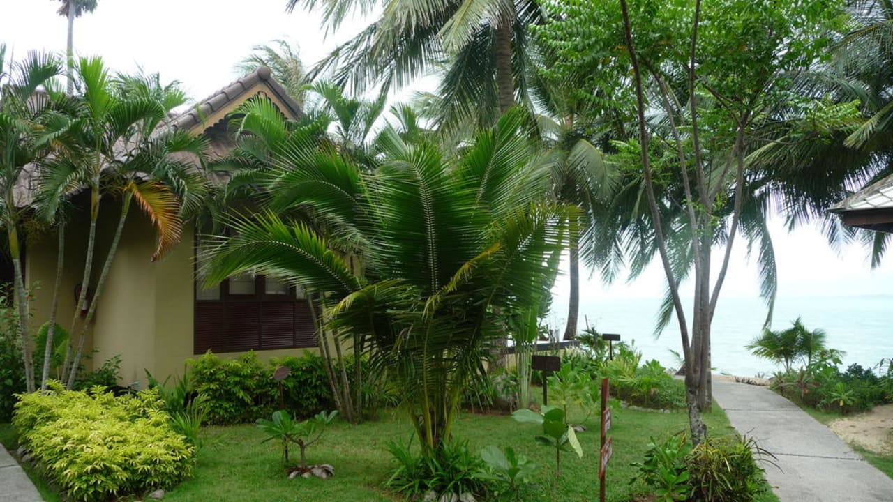 Beachfront Bungalow 213 NH Collection Samui Peace Resort