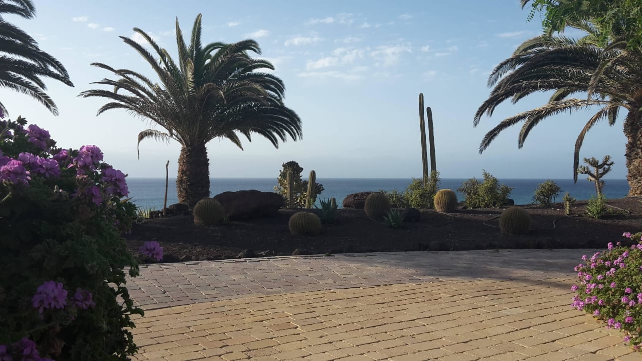 Aussicht von den Liegen  R2 Pajara Beach