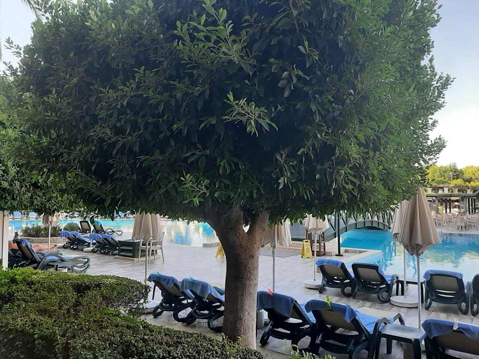 Pool Trendy Aspendos Beach Hotel