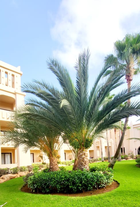 Gartenanlage Hotel Riu Touareg