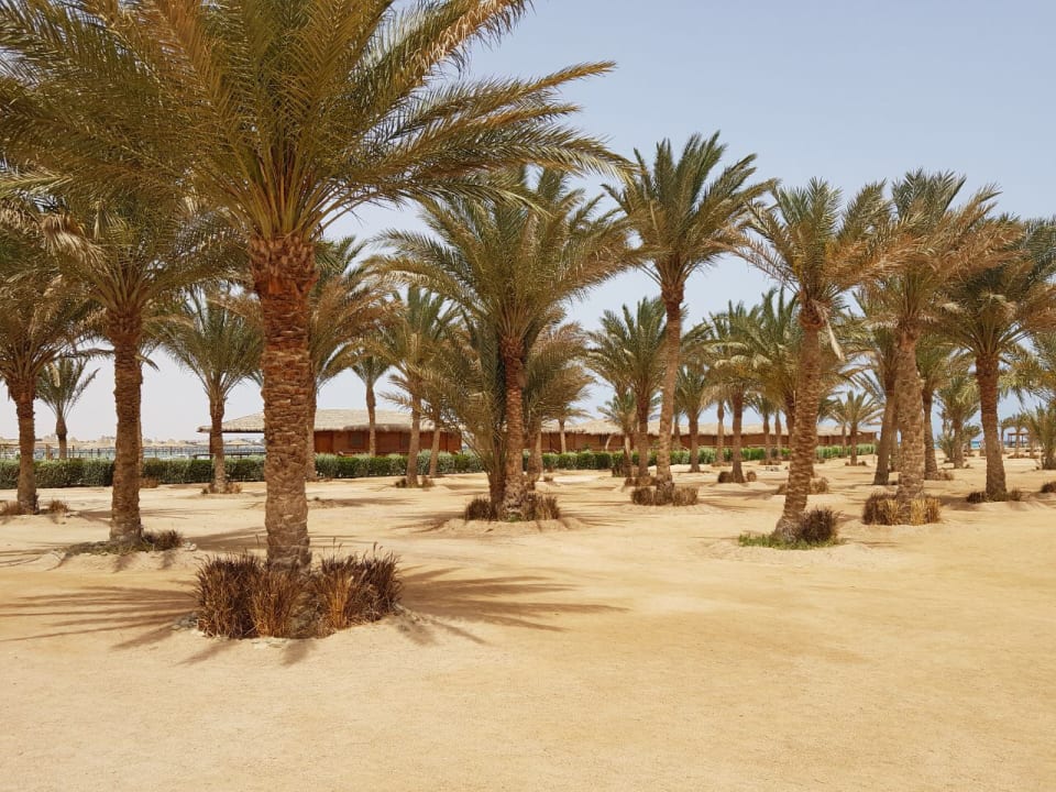 Strand LABRANDA Club Makadi
