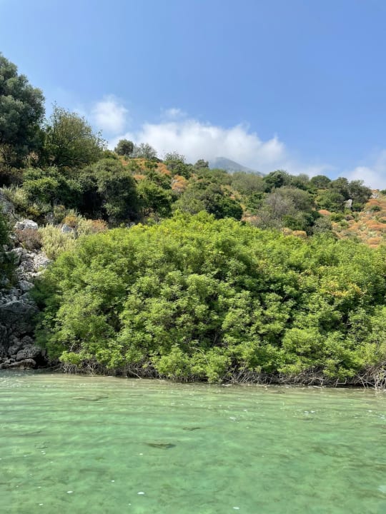 Ausblick HARPIN Happy Days Beach Hotel
