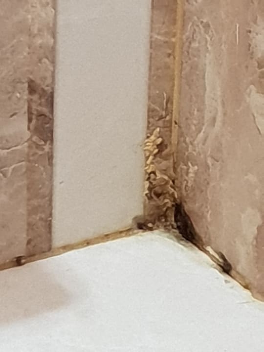 Zimmer Hotel Tia Maria