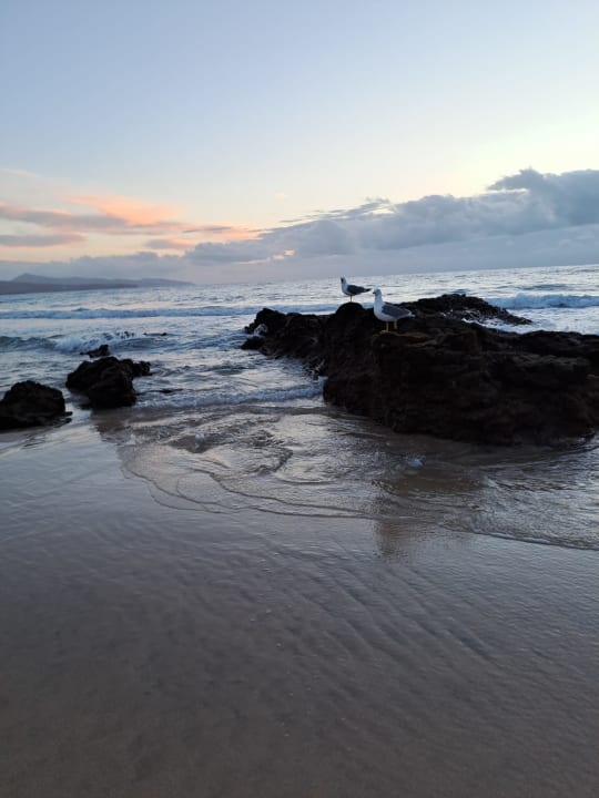 Strand R2 Pajara Beach