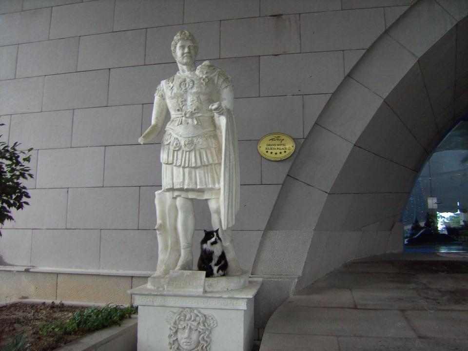 Katze Mimi wacht Kilikya Palace Göynük