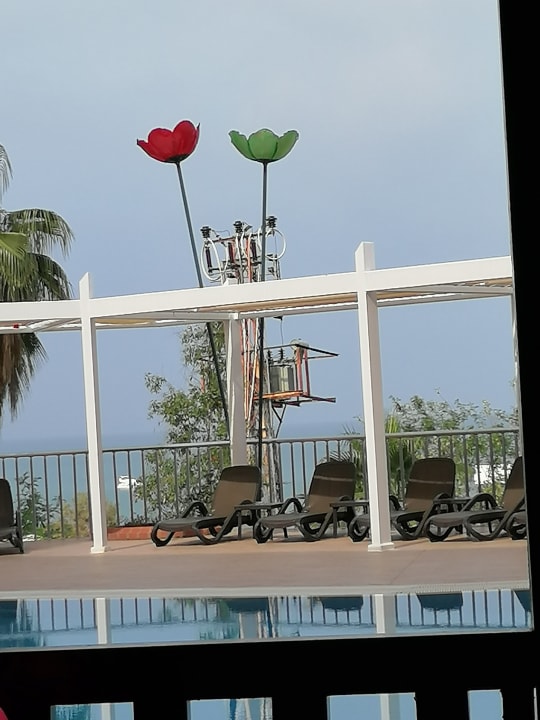 Außenansicht Side Alegria Hotel & Spa - Adults only +16